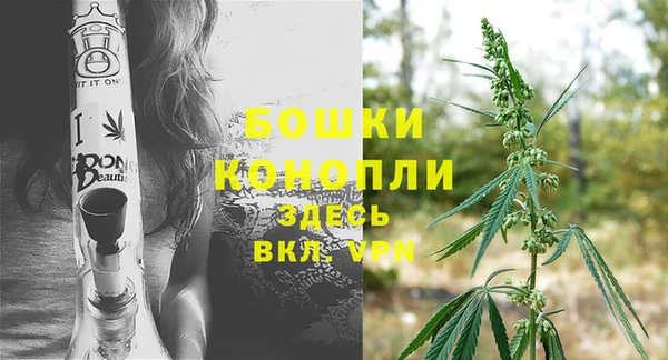 ГАЛЛЮЦИНОГЕННЫЕ ГРИБЫ Михайловск