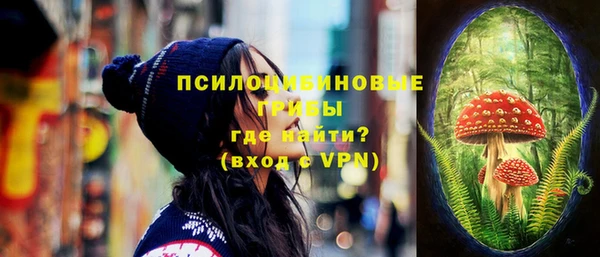 ГАЛЛЮЦИНОГЕННЫЕ ГРИБЫ Михайловск