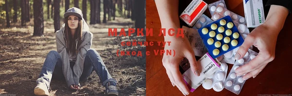 spice Михайлов