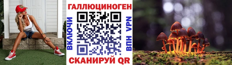 Псилоцибиновые грибы MAGIC MUSHROOMS  OMG tor  Ильский 